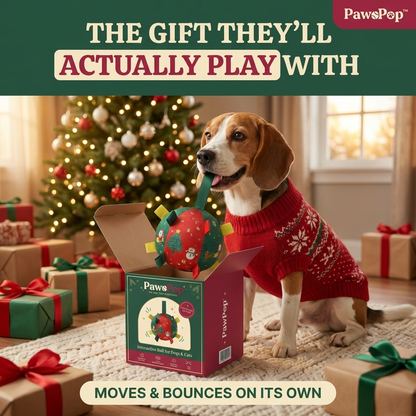 PawPop interactive pet ball