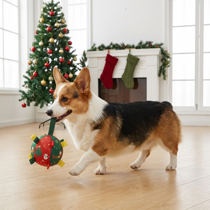 PawPop interactive pet ball